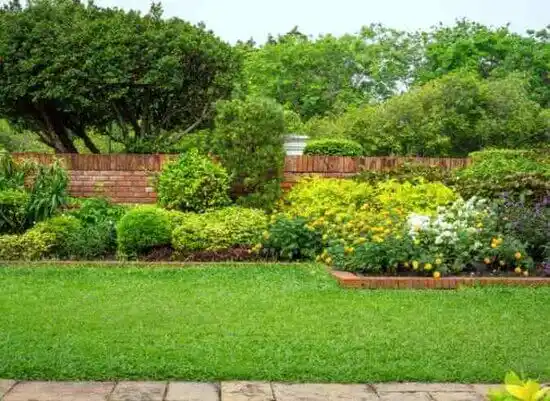 landscaping services Berwyn Heights